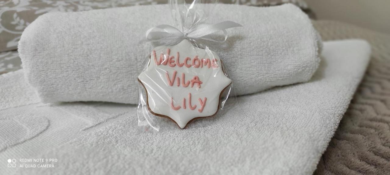 Vila Lily Villa Smederevo Eksteriør billede